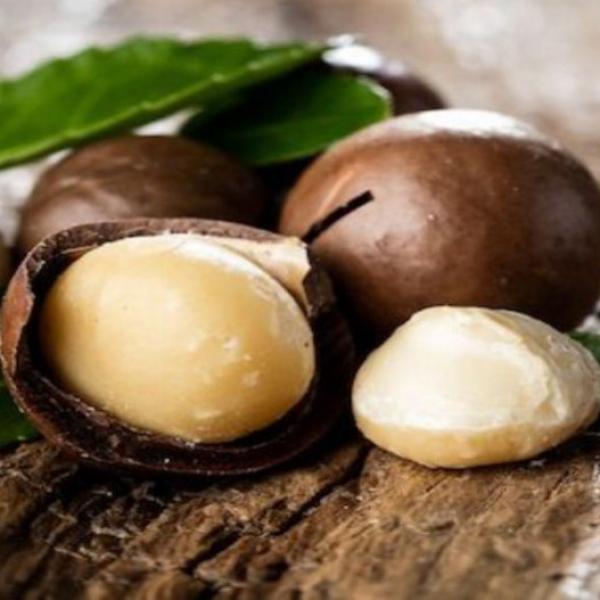 Makadamya fındığı