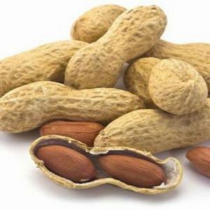 Yer fıstığı qabıqlı iri