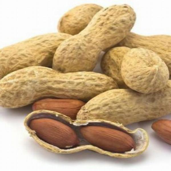 Yer fıstığı qabıqlı iri