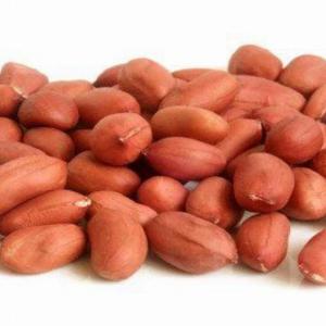 Yer fıstığı qırmızı