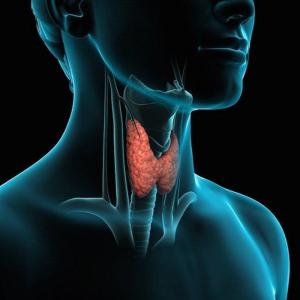 Qalxanvari vəzin paneli