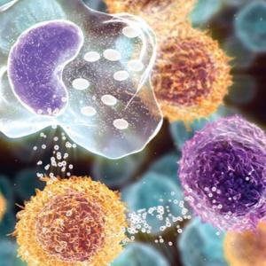 İltihabı müəyyən edən analiz paneli